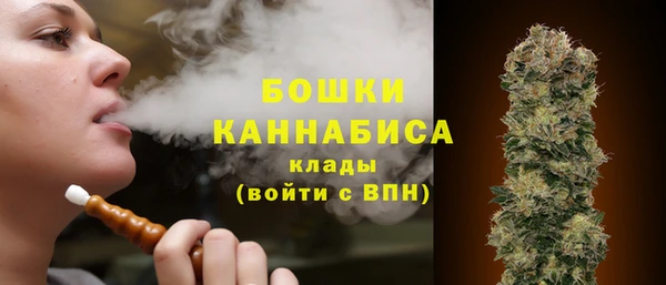 spice Карпинск