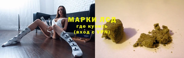 spice Карпинск